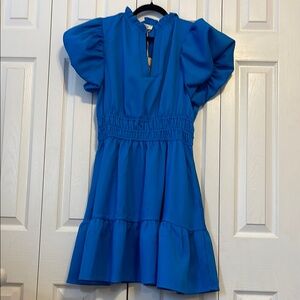 Cobalt Blue Puffed Sleeve Smocked Waist Mini Dress